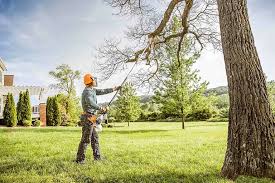 Best Soil Testing and Treatment  in Alexandria Bay, NY